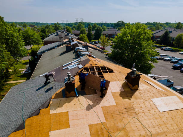 Best Commercial Roofing Services  in Pleasureville, PA