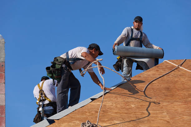 Best Roof Repair Services  in Pleasureville, PA